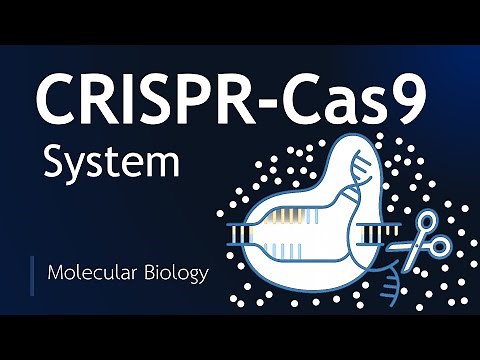 CRISPR-Cas9 Explained Simply | Gene Editing | Basic Science Series
