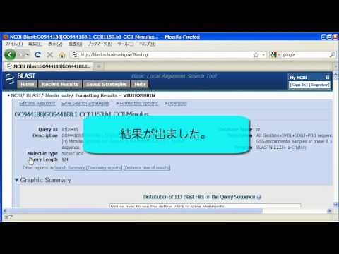 NCBI BLASTの使い方 〜基本編〜 2010