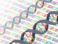 Genetic Code ( Read ) | Biology