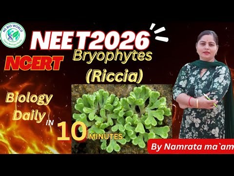 Riccia in Bryophyta | Structure & Reproduction | Hepaticopsida | NEET Biology