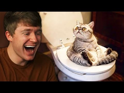 WORLDS HARDEST TRY NOT TO LAUGH CHALLENGE!!