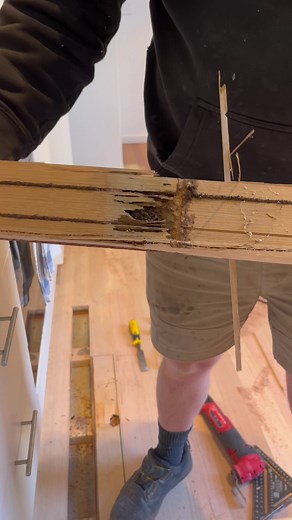 Termite Damage Wood Floor Repair | Tasmanian Oak Timber Flooring
