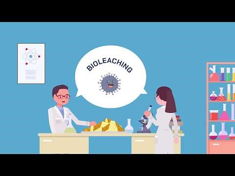 Bioleaching: let's see how it works