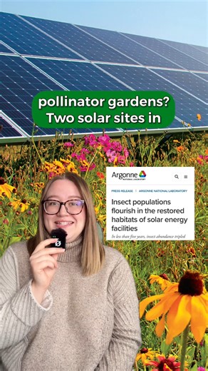 Micro-meadows are popping up everywhere, from tiny backyard corners to community solar sites, and the impact is wildly good. 🌼🐝 In southern Minnesota, re-wilding the land beneath solar panels tripled insect populations in just four years and even boosted yields for nearby soybean farmers. Clean energy pollinator habitats = a win for biodiversity and local agriculture. Would you love to see more solar sites turned into pollinator havens? #PollinatorGarden #CleanEnergy #NativePlants #MicroMeadow