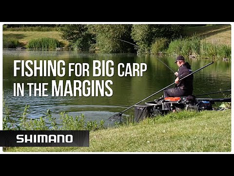 Mastering Pole Fishing: Secrets to How to fish Margins and catch BIG Carp