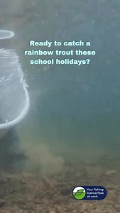 282 reactions · 26 shares | Over 30,000 rainbow trout stocked in 70+ Family Fishing Lakes – just in time for the July school holidays! Grab the rods, rally the crew, and spend the holidays outdoors chasing rainbows. Perfect for beginners, kids, and anyone keen to hook into some fun! To find a lake near you, visit - www.vfa.vic.gov.au/holidaytrout | Victorian Fisheries Authority | Facebook