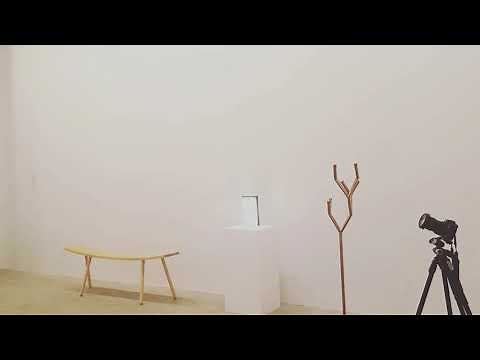 WAC TRACK LIGHTING Overview 2020