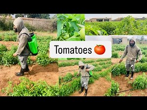 How to Assemble & Use a Garden Sprayer (18L) | Easy DIY Guide