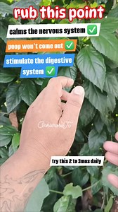 rub this point if you're poop won't come out ✅ #fypシ゚viralシfypシ゚ #fypシ #massagetherapy #healthcare #healthtips #trend #exercise #ContentMonetization #contentcreator | Ochie&Rose Tv
