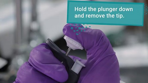 A Quick Method for A Tailing PCR Products