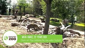 9.2K views · 746 reactions | Take a look at the new water feature in...