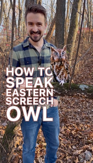 233K views · 7K reactions | 黎 Think all owls hoot? Think again! The...