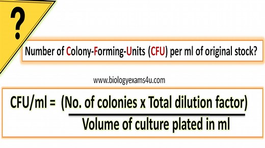 How to Calculate CFU per ml of a Bacterial sample? In simple 3 steps