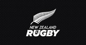 Player Safety and Concussion Management