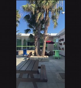 3.9K views · 42 reactions |  THE NEWEST SPOT YOU WILL LOVE JUST...