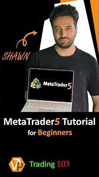 MetaTrader 5: The Ultimate Beginner's Guide!