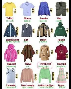 Vocabulary for Various Tops | Memorize Words Easily with One Picture Method!