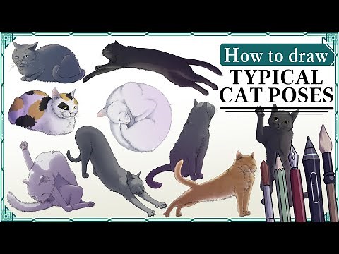 How to draw CATS in ANY POSE - Art Tutorial