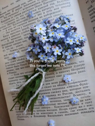 odoyy styx on TikTok