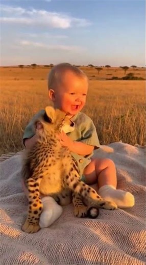 Baby Playing with Cheetah