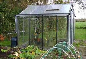 Mastering Greenhouse Gardening: Tips for Year-Round Success | LoveToKnow
