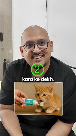 How to Brush Your Cat’s Teeth at Home | Easy Steps for Cat Parents