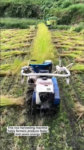Modern Rice Harvesting Machine for Efficient Rice Fields