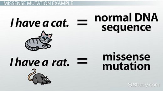 Missense Mutation | Definition, Variant & Examples