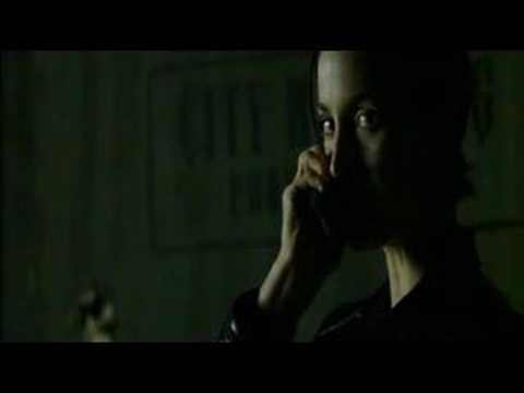 Matrix: The Matrix Trinity Escaping Agents