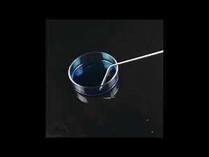 Stainless Steel Cell Spreader