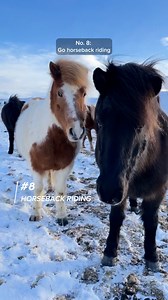 24K views · 692 reactions | Looking for the best winter activities in...