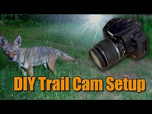 DIY Trail Camera Setup with DSLR | How I Captured Wildlife Photos Using Old Camera Gear