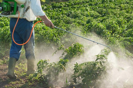 How Do Pesticides Kill Bugs? Understanding How They Work | LoveToKnow