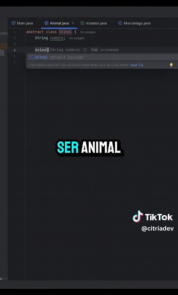 Clase abstracta e Interface en Java #CapCut #Java #programacion #backend #desarrollador #programador #interface #abstract #javadeveloper