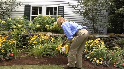 Applying Preen Weed Preventer