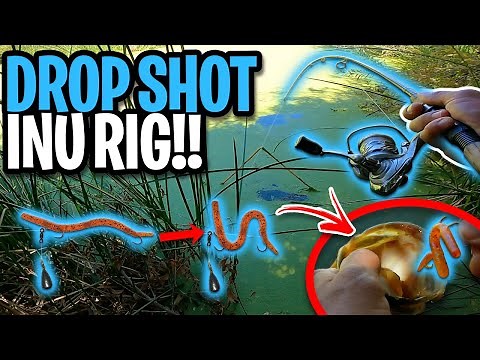 How To Set Up The INU RIG Drop Shot | New Japanese Fishing Technique