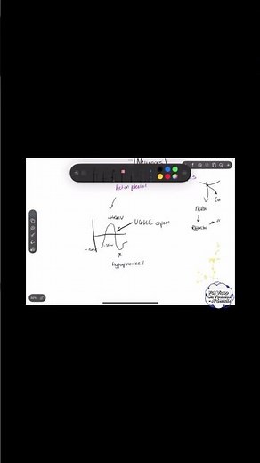 The Ultimate Guide To Concept Mapping!!!