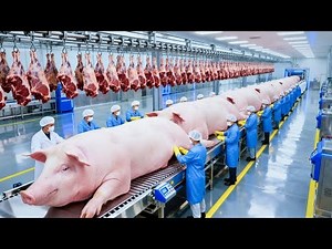Inside the Giant Pork Ham Factory (Full Process) | Secrets of the Billion-Dollar Meat Industry