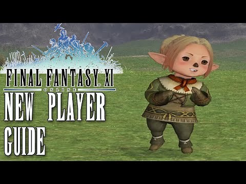 FFXI - New Player Guide - Part 1: The Basics