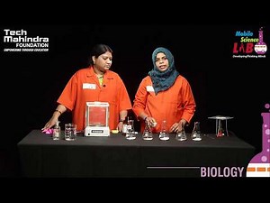 Fermentation of Sugar using Yeast