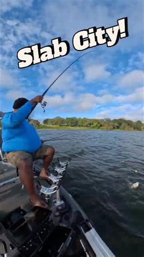 Crappie City #crappiefishing #crappie #fish #freshwaterfish #fishing #shellcracker #lakekissimmee