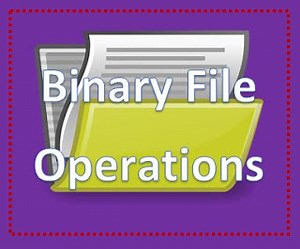 Explore Binary Files in Python Class 12 in easy manner - TutorialAICSIP