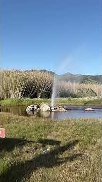 Calistoga Old Faithful Geyser Eruption | Napa Valley’s Natural Wonder