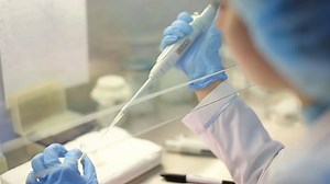 If you or someone you know has returned from any international travel or a cruise within the last 14 days and have a fever, cough, or shortness of breath, it is important to know the testing procedure for COVID-19 coronavirus. Familiarize yourself with who can be tested for coronavirus, how to set up an appointment, and how testing is done: | Hillsborough County, Florida Government