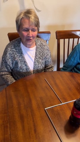 Tricky puzzles to do with your Family 🤔