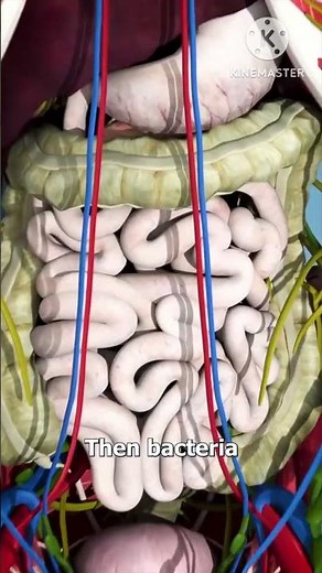 What Happens to Your Body After Death?