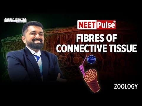 NEET Zoology | Fibres of Connective Tissue Explained | Aakash Digital