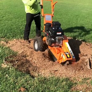 4.2K views · 73 reactions | Quick tree removal and stump grinding | C&C Moving | Facebook
