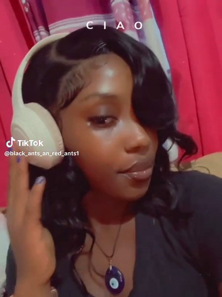 Understanding Red Ants and Black Ants Behavior