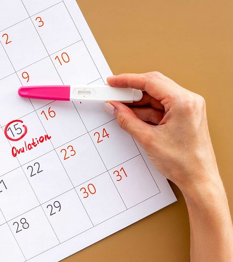 Ovulation Calculator & Calendar - Track Your Most Fertile Days